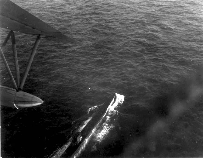 German submarine U-199