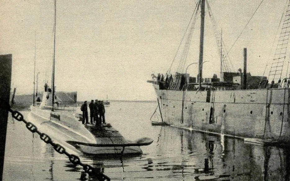 ORP Żbik (1930)