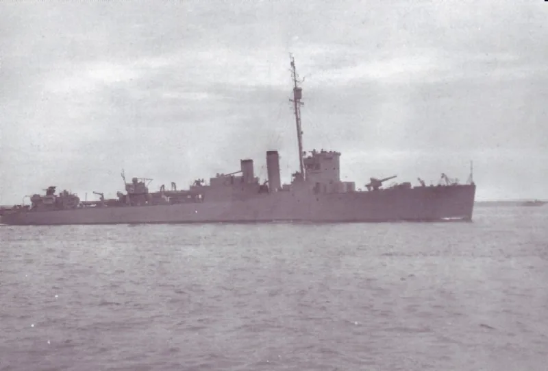 HMS Leamington (G19)