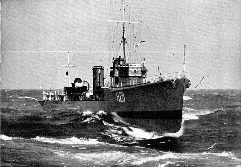 HMS Sturdy (1919)