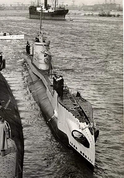 HMS Taurus (P339)