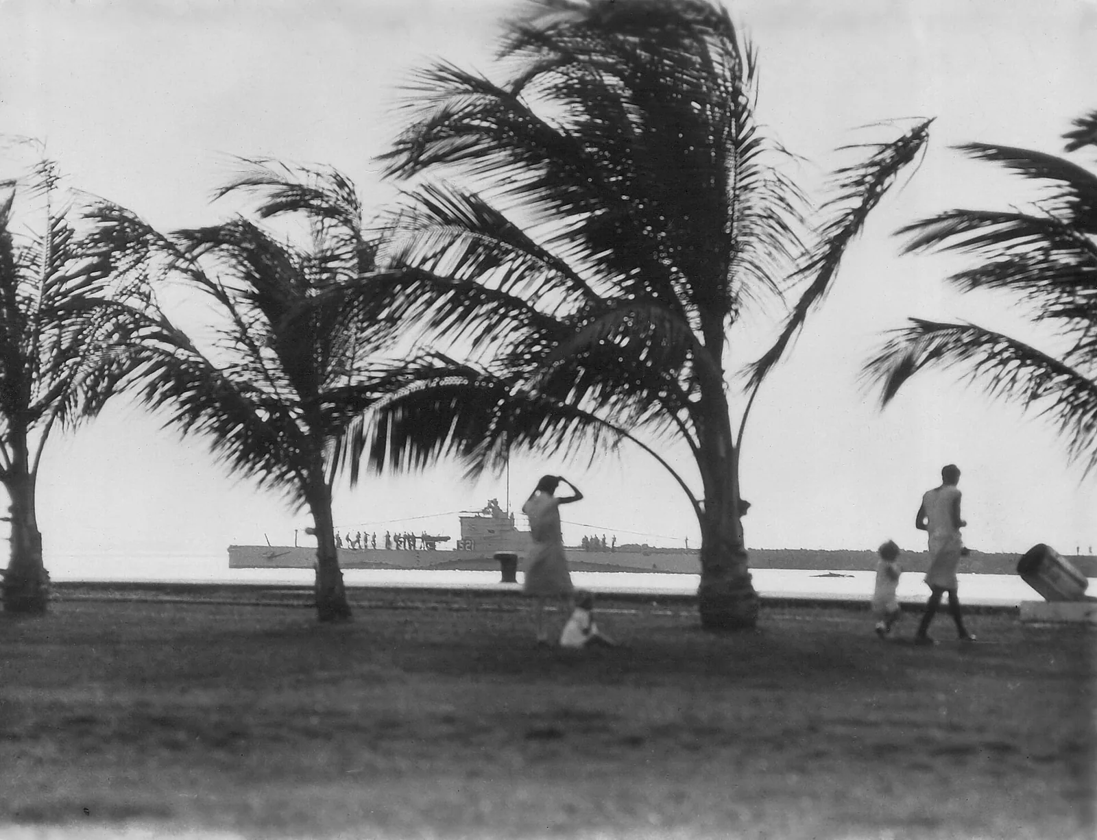 HMS P553