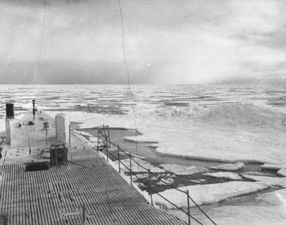 USS Boarfish