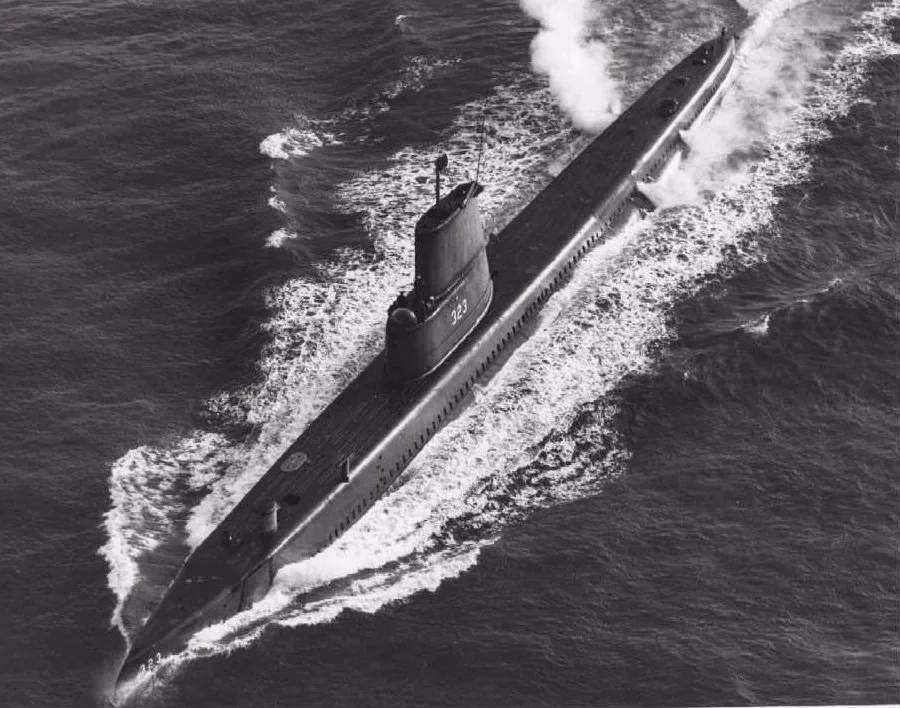 USS Caiman