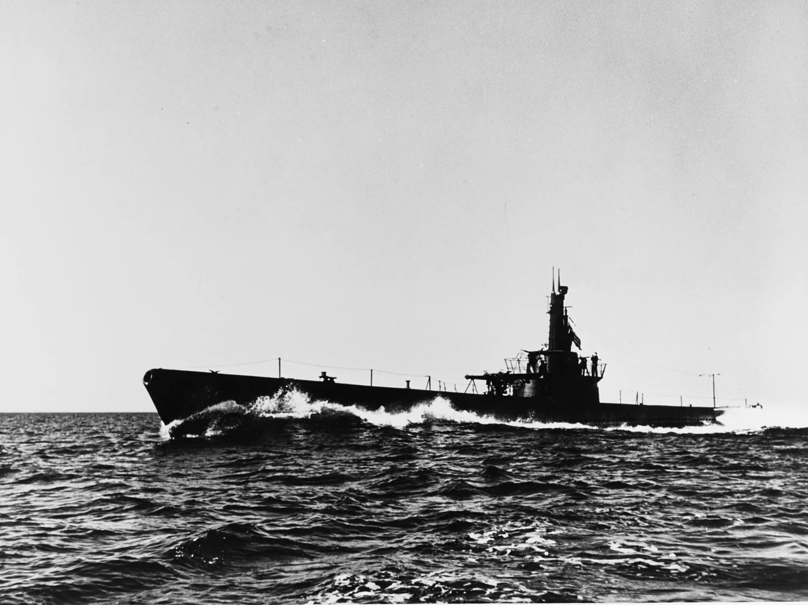 USS Capelin