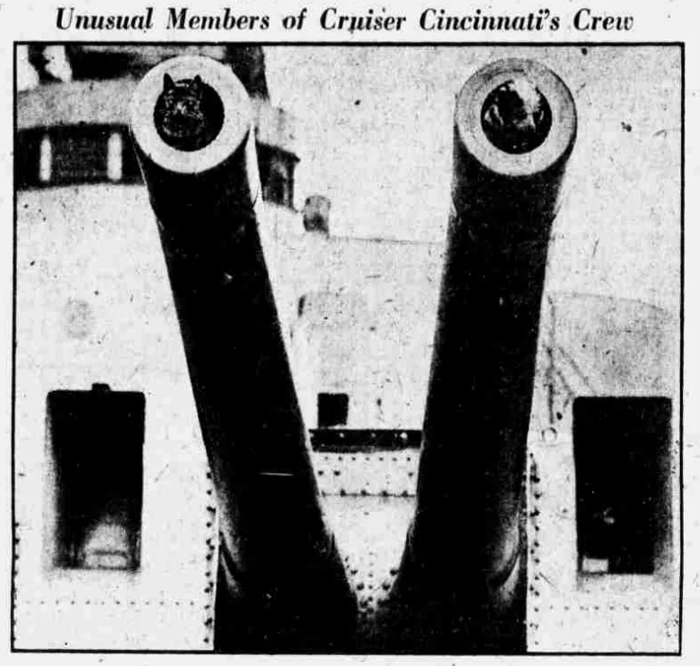 USS Cincinnati (CL-6)