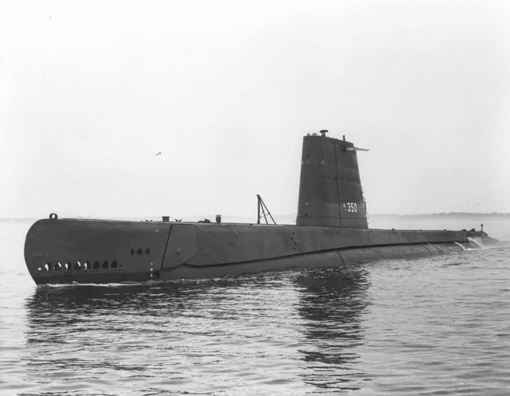 USS Dogfish