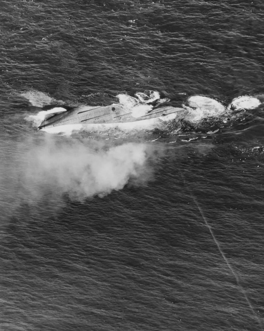 USS Nevada (BB-36)