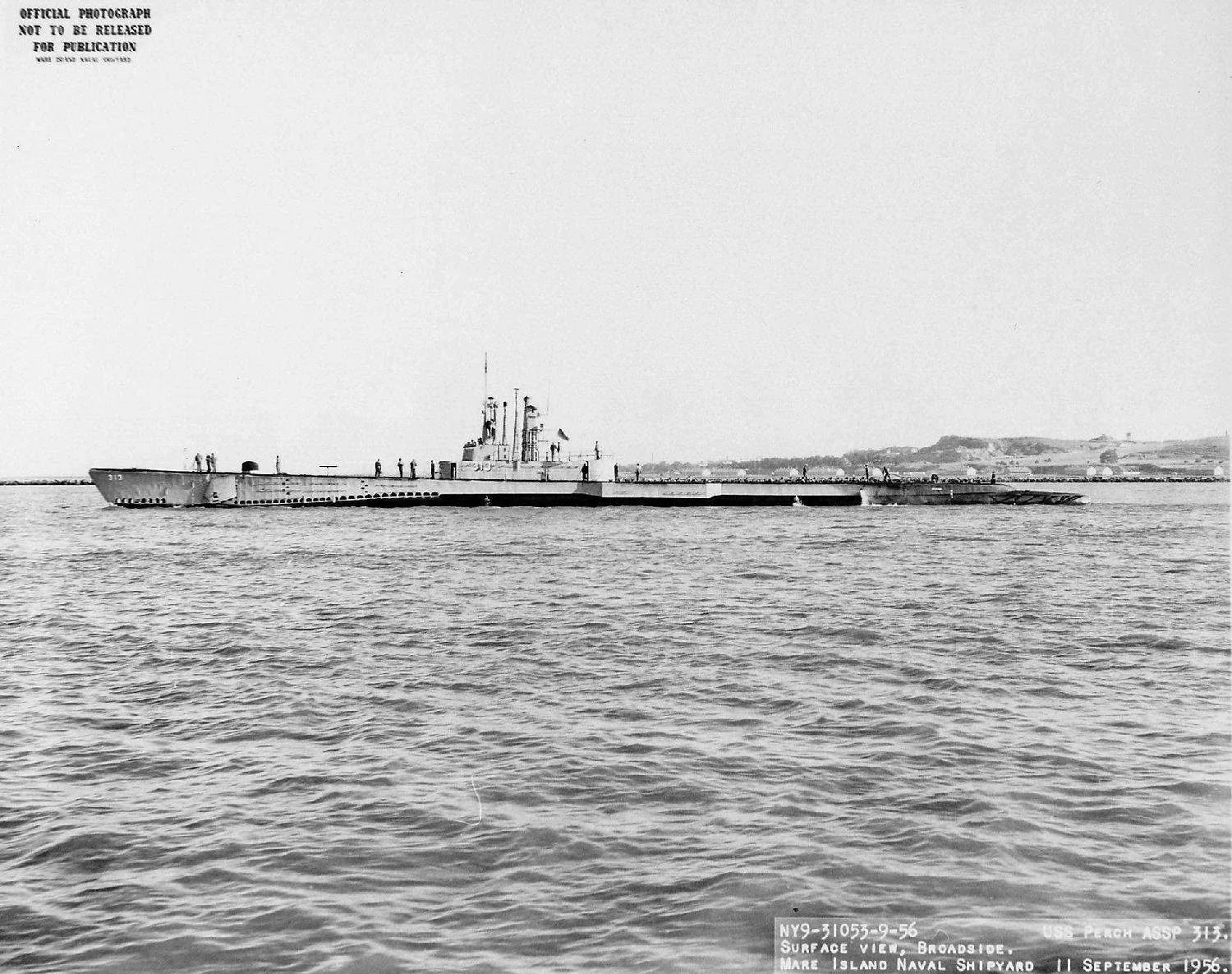 USS Perch (SS-313)