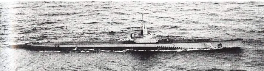 USS Sealion (SS-315)